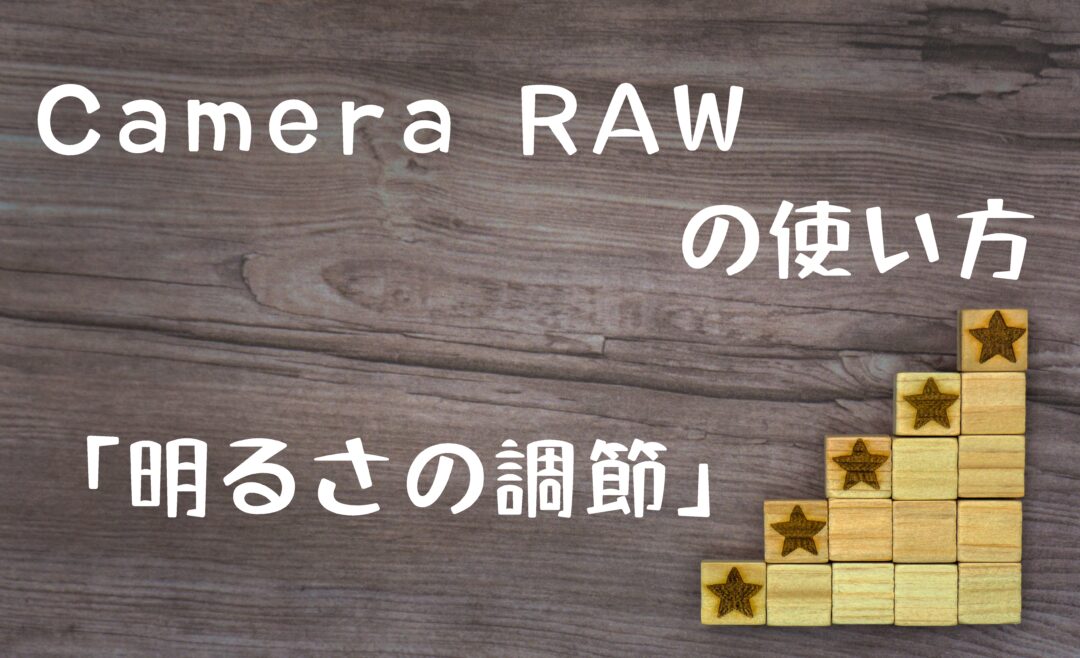 Camera RAWの使い方。「適正な露出」をヒストグラムを使って探ってみた